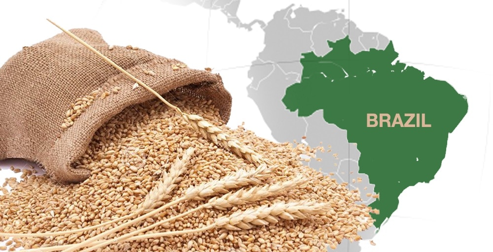 Brazil grain exporter