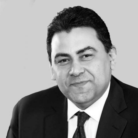 Adel Hamed Managing Director and CEO at Telecom Egypt