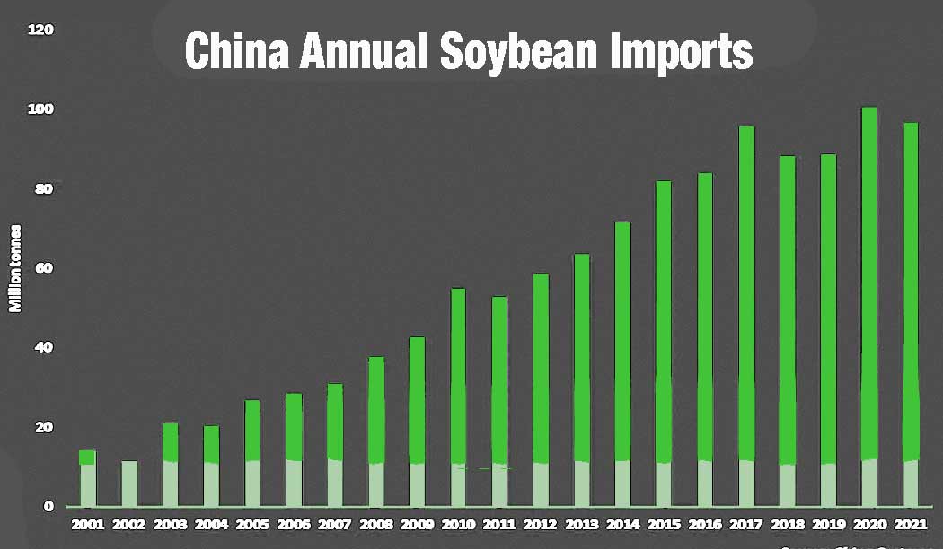 china soybean imports
